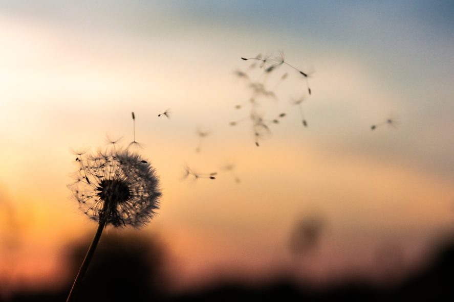 aria torna nel cielo